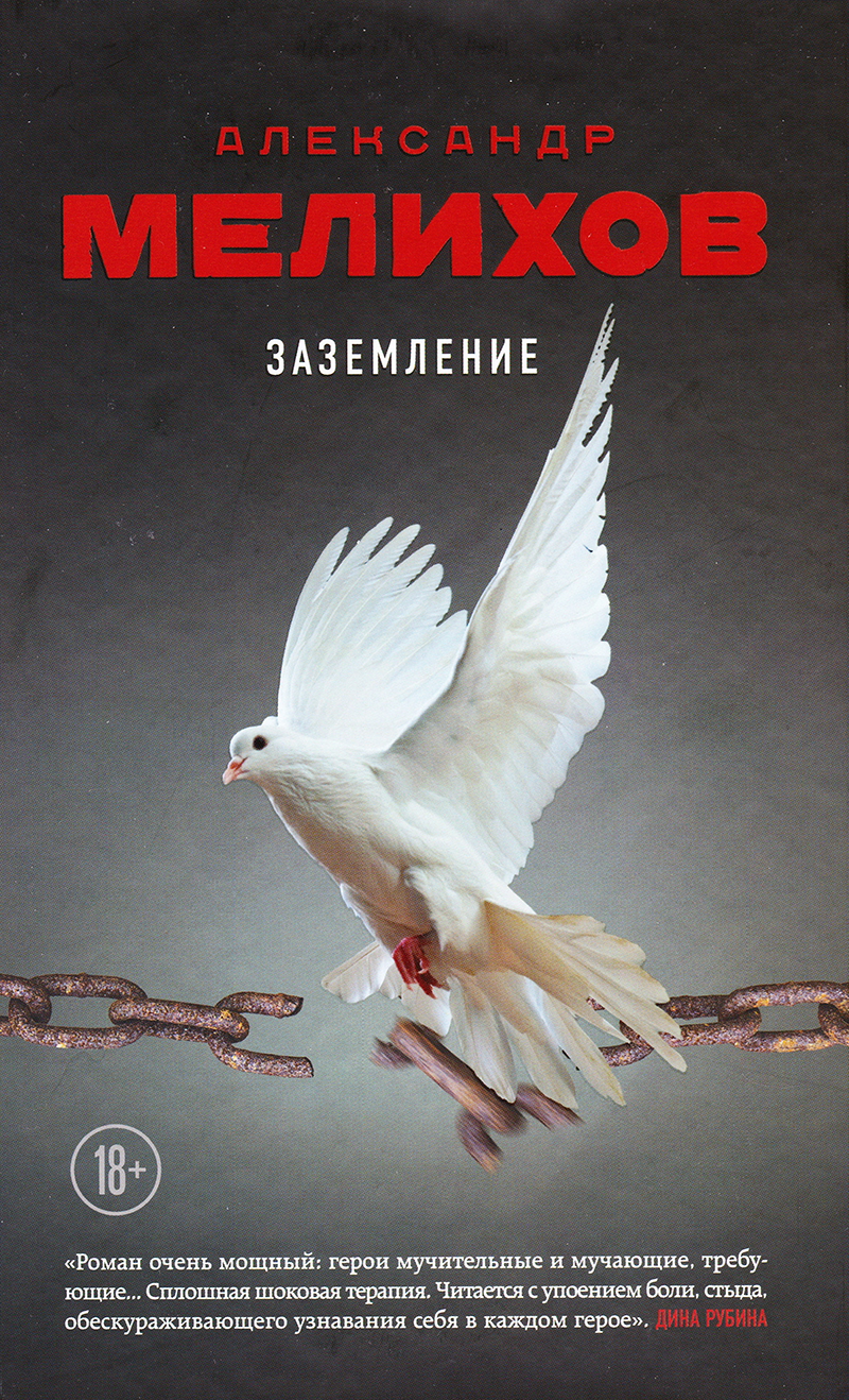 Заземление: Роман